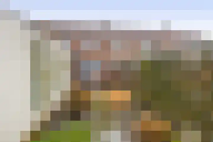 Koekoekstraat 17 Tegelen thumbnail 14