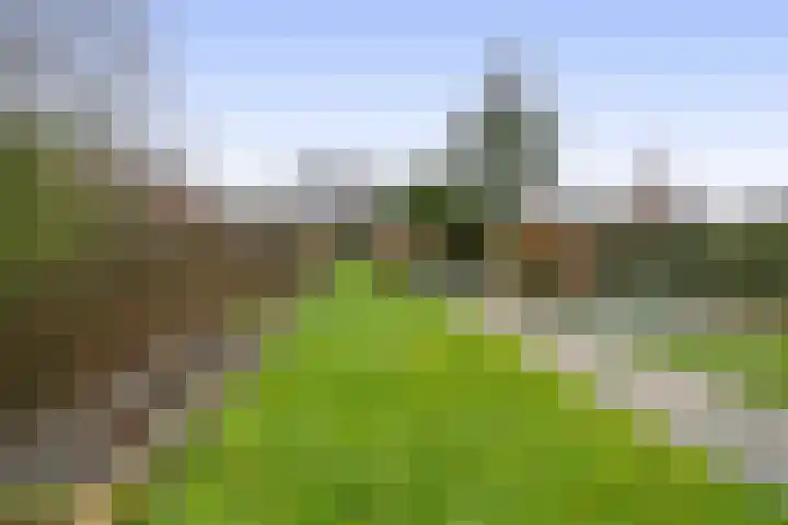 Koekoekstraat 17 Tegelen thumbnail 15