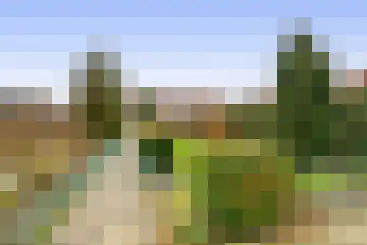 Koekoekstraat 17 Tegelen thumbnail 16