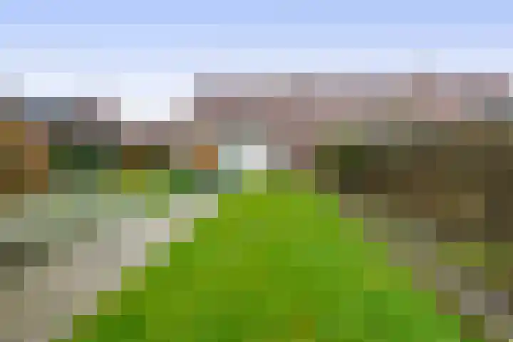 Koekoekstraat 17 Tegelen thumbnail 19