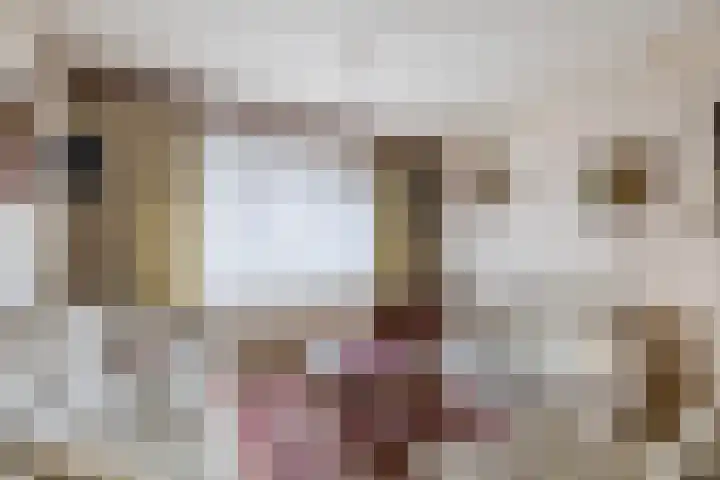 Koekoekstraat 17 Tegelen thumbnail 5