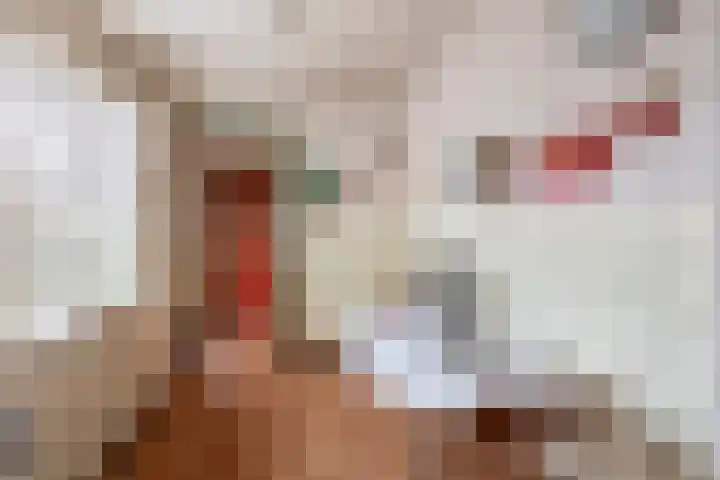 Koekoekstraat 17 Tegelen thumbnail 9