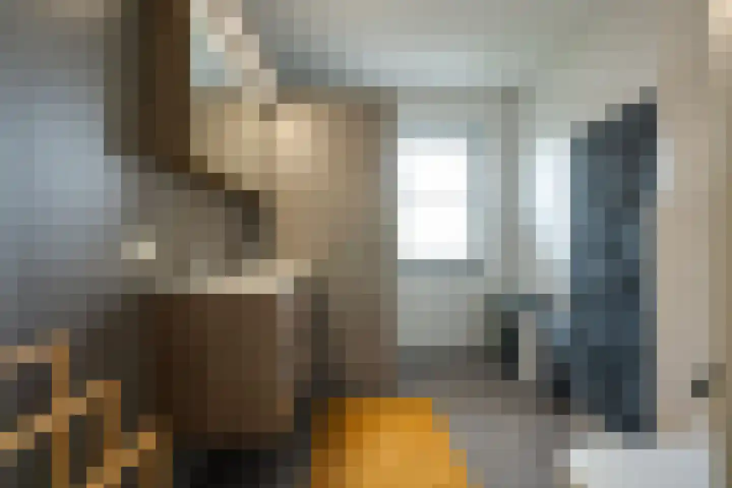 Koekoekstraat 19 Assen thumbnail 17