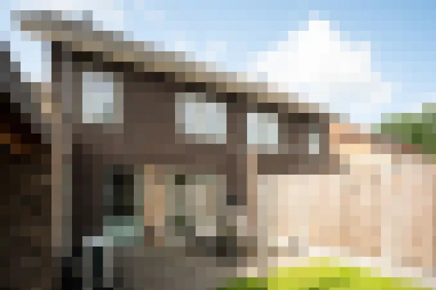 Koekoekstraat 19 Assen thumbnail 23
