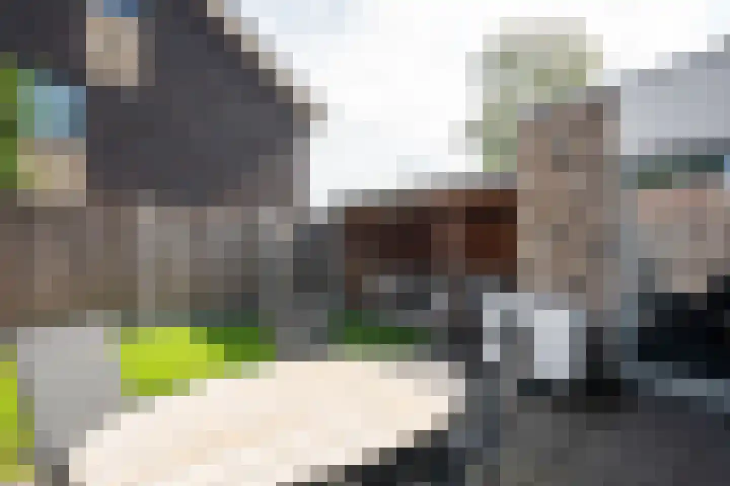 Koekoekstraat 19 Assen thumbnail 24