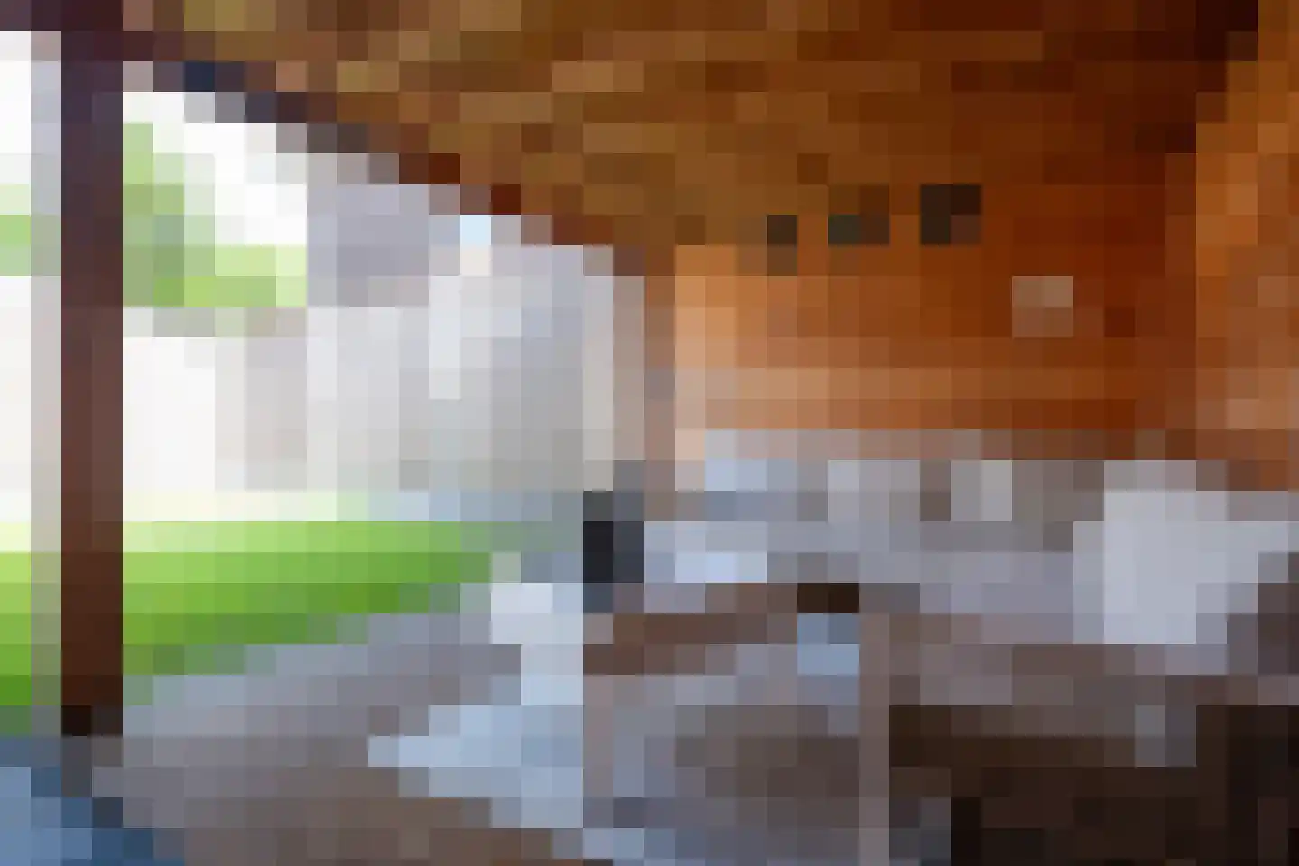 Koekoekstraat 19 Assen thumbnail 25