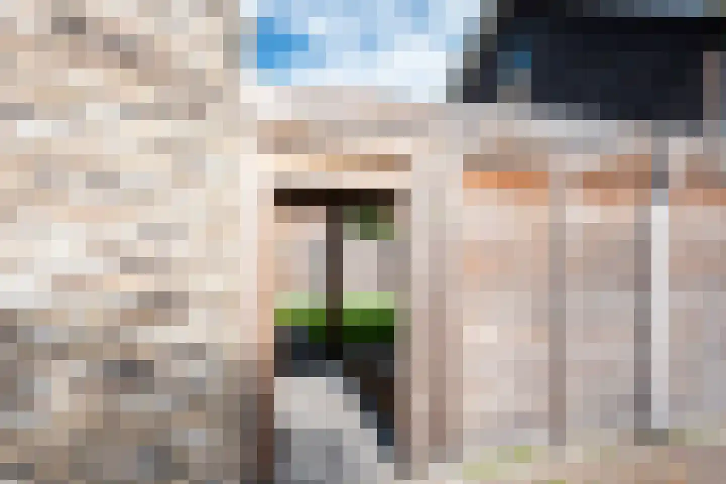 Koekoekstraat 19 Assen thumbnail 27