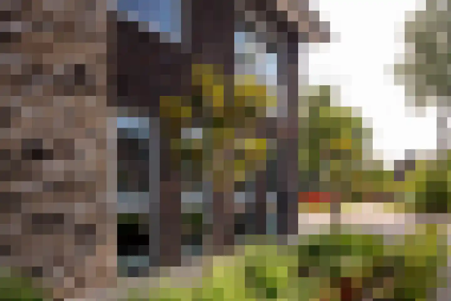Koekoekstraat 19 Assen thumbnail 28