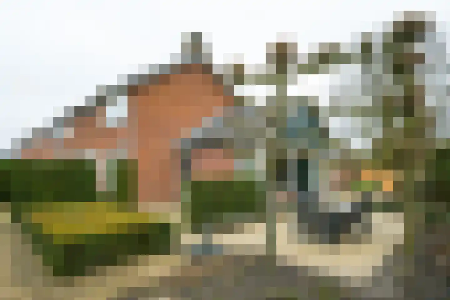 Koekoekstraat 2 Winterswijk thumbnail 28