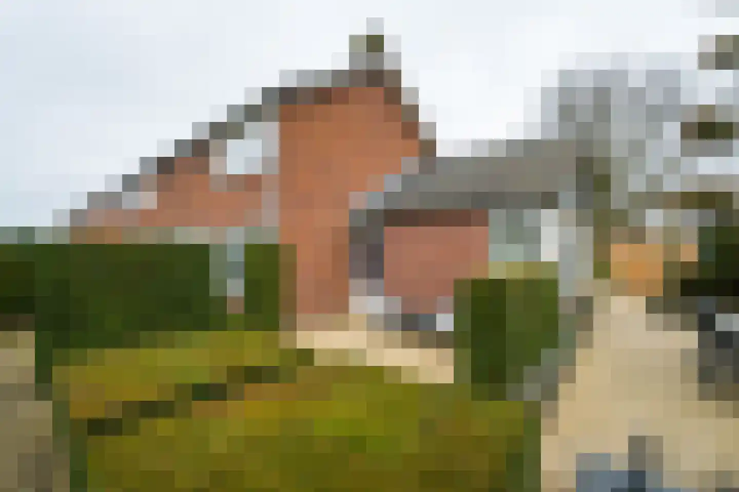 Koekoekstraat 2 Winterswijk thumbnail 29