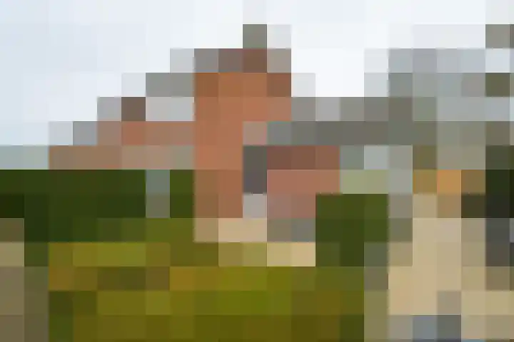 Koekoekstraat 2 Winterswijk thumbnail 29