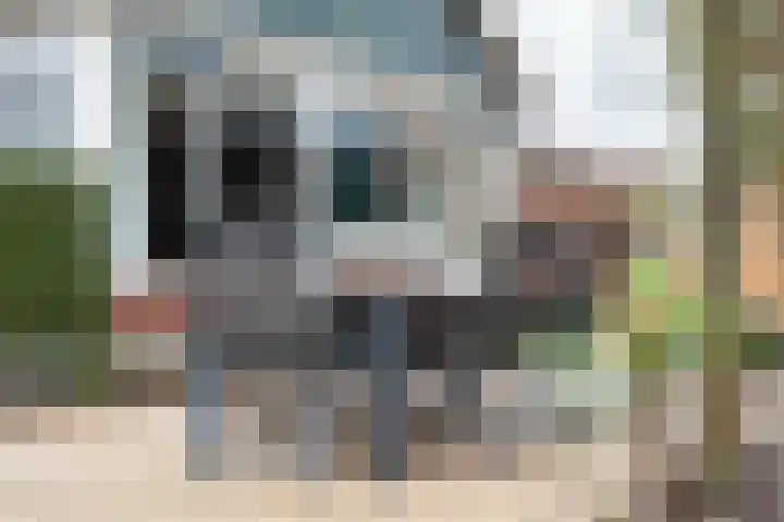 Koekoekstraat 2 Winterswijk thumbnail 33