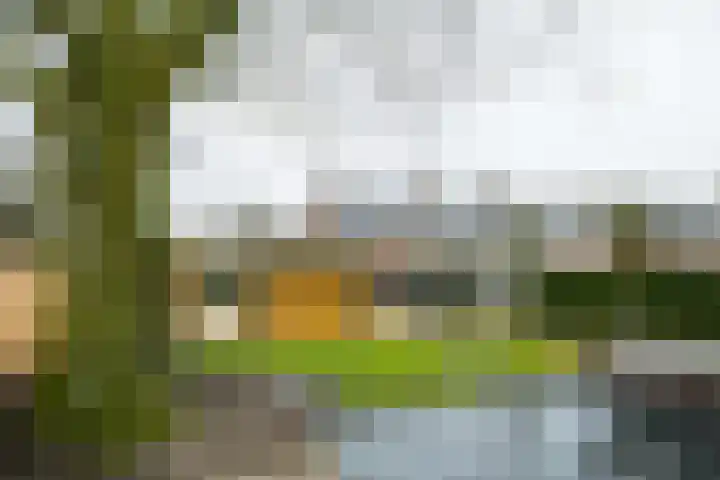 Koekoekstraat 2 Winterswijk thumbnail 4