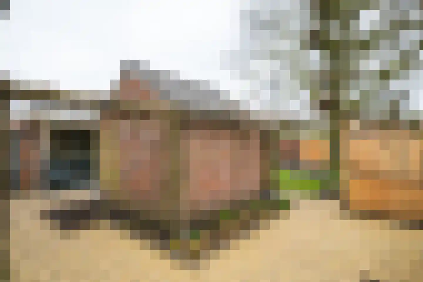 Koekoekstraat 2 Winterswijk thumbnail 43