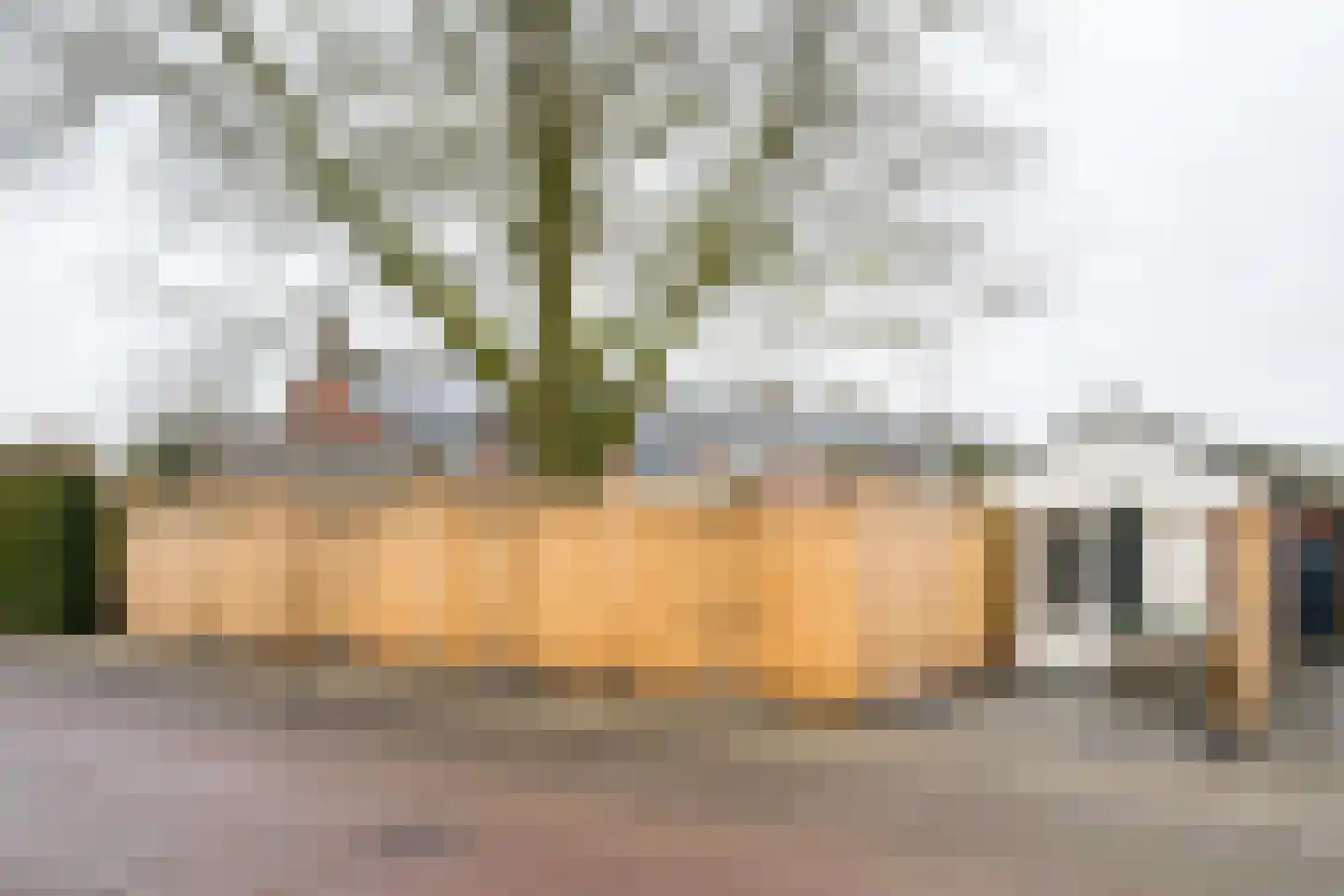 Koekoekstraat 2 Winterswijk thumbnail 53