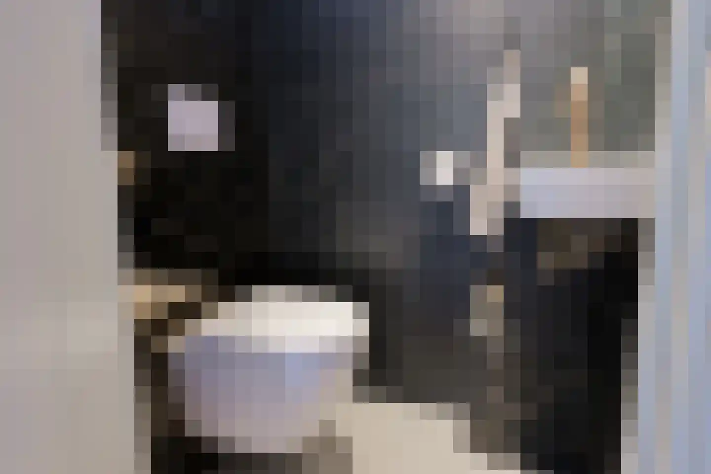Koekoekstraat 2 Winterswijk thumbnail 8