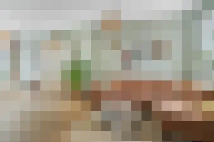Koekoekstraat 20 Breda thumbnail 11