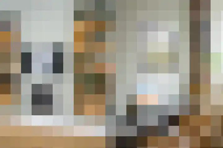 Koekoekstraat 20 Breda thumbnail 17