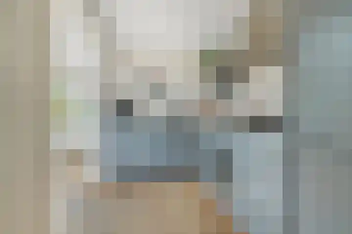 Koekoekstraat 20 Breda thumbnail 18