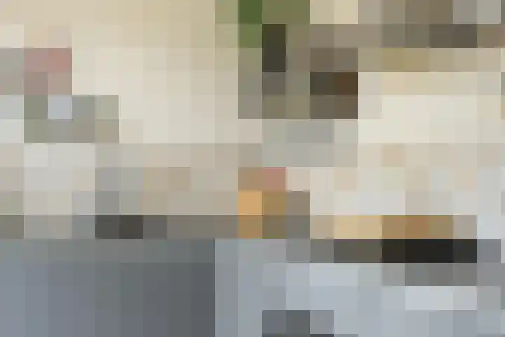 Koekoekstraat 20 Breda thumbnail 20