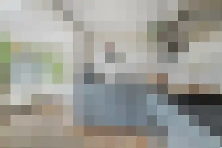 Koekoekstraat 20 Breda thumbnail 21
