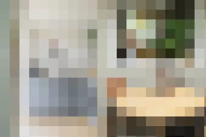 Koekoekstraat 20 Breda thumbnail 23