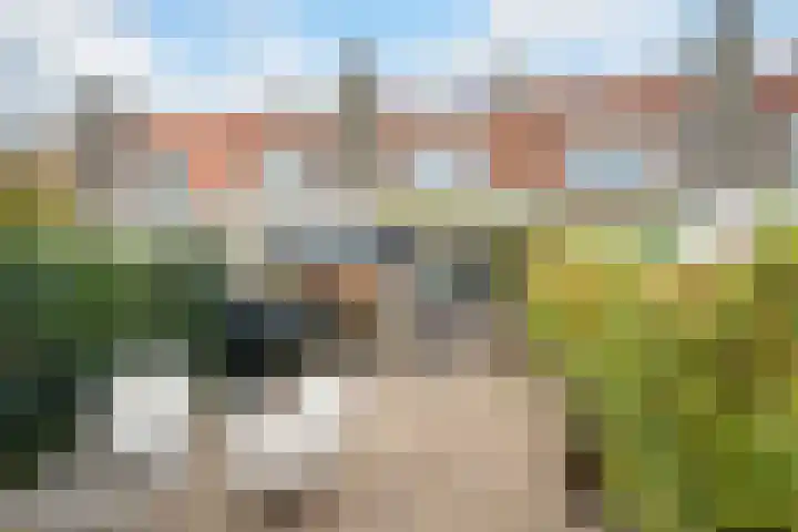 Koekoekstraat 20 Breda thumbnail 32