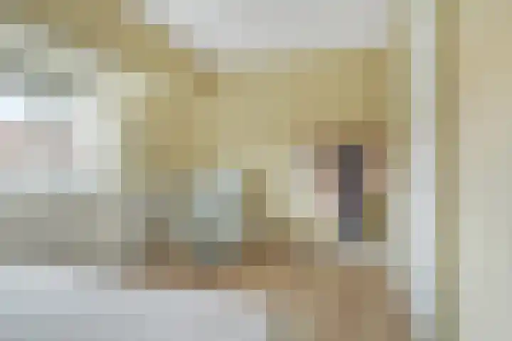 Koekoekstraat 20 Breda thumbnail 36