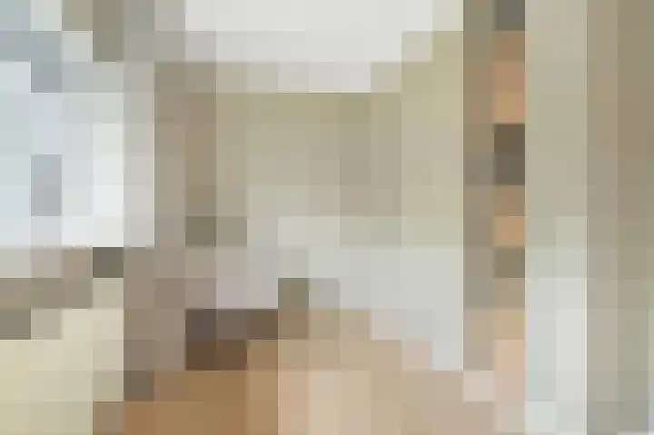 Koekoekstraat 20 Breda thumbnail 38