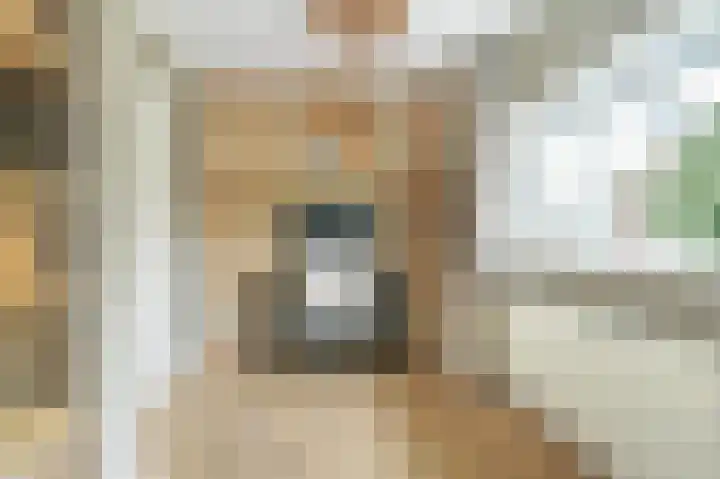 Koekoekstraat 20 Breda thumbnail 39