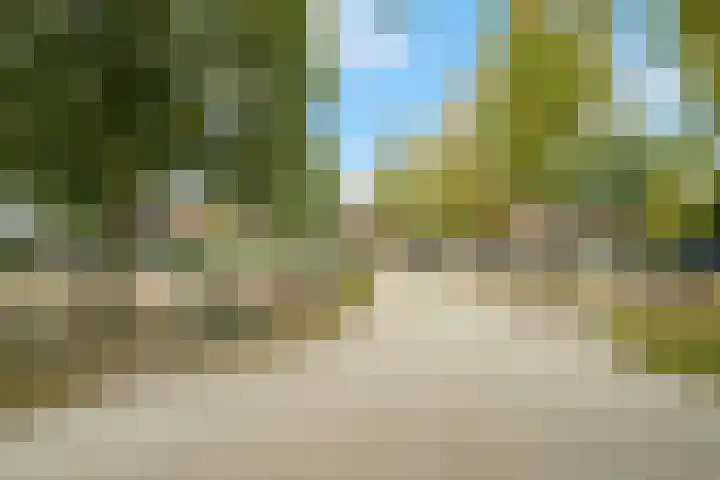 Koekoekstraat 20 Breda thumbnail 50