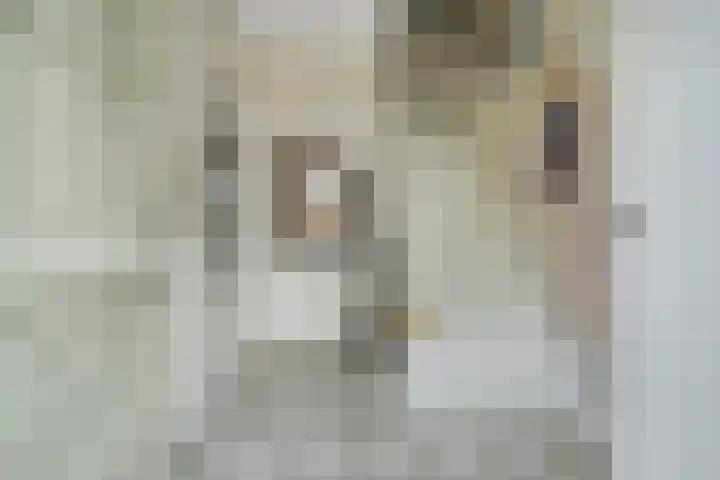 Koekoekstraat 20 Breda thumbnail 8