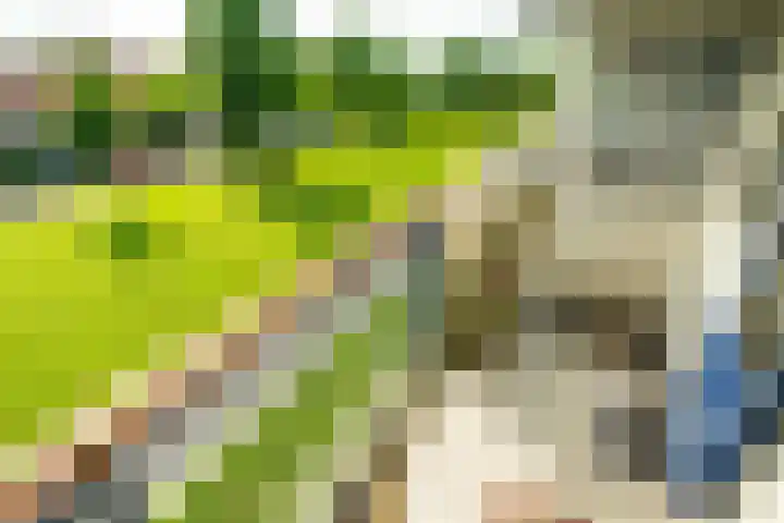 Koekoekstraat 23 Leiderdorp thumbnail 5