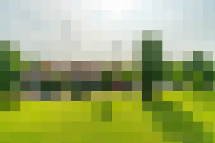 Koekoekstraat 23 Leiderdorp thumbnail 6