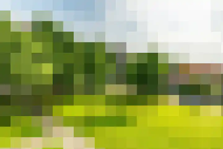 Koekoekstraat 23 Leiderdorp thumbnail 7