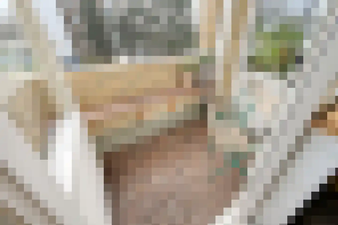 Koekoekstraat 38 Maassluis thumbnail 12