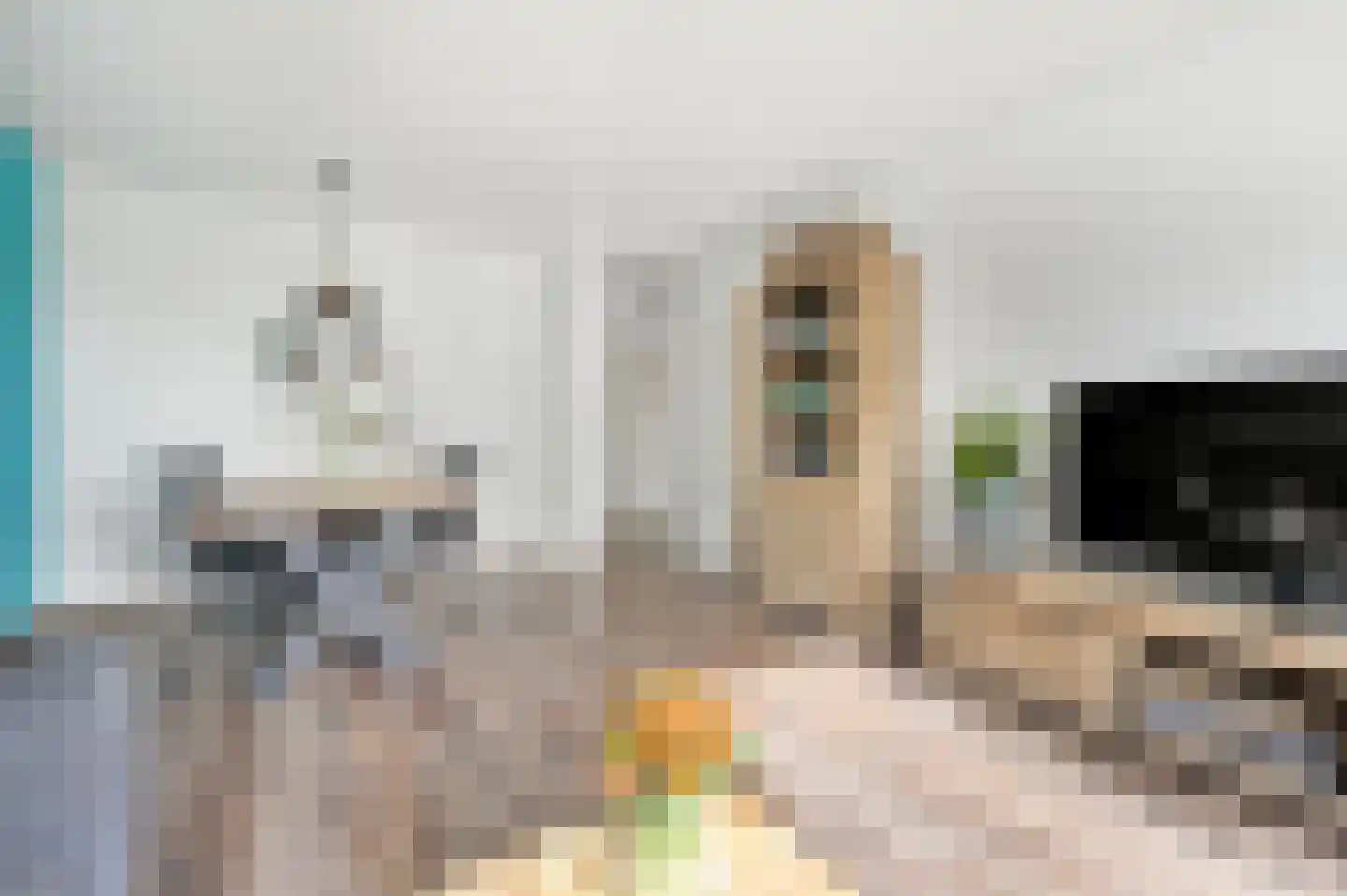 Koekoekstraat 38 Maassluis thumbnail 9