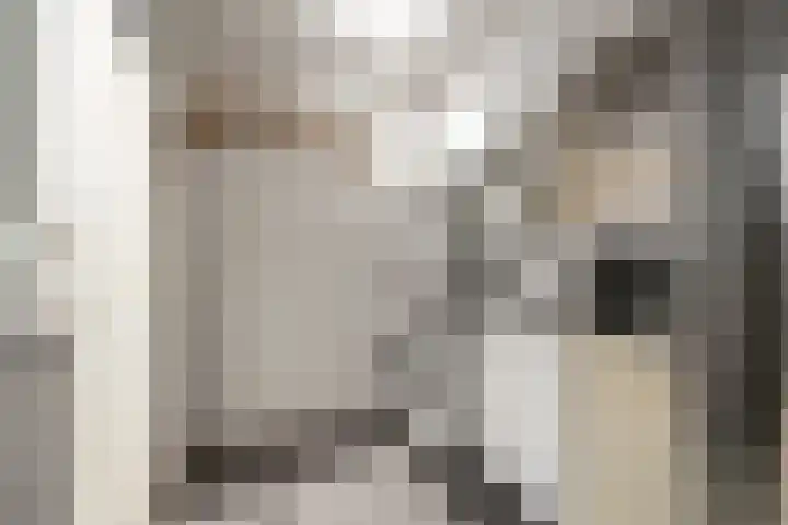 Koekoekstraat 4 Den Helder thumbnail 10