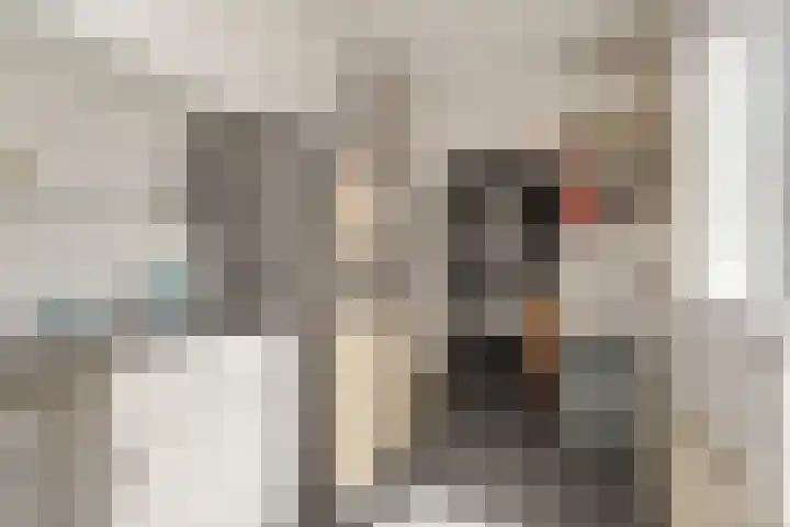Koekoekstraat 4 Den Helder thumbnail 11
