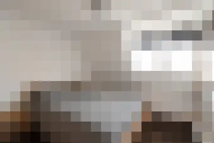 Koekoekstraat 4 Den Helder thumbnail 12