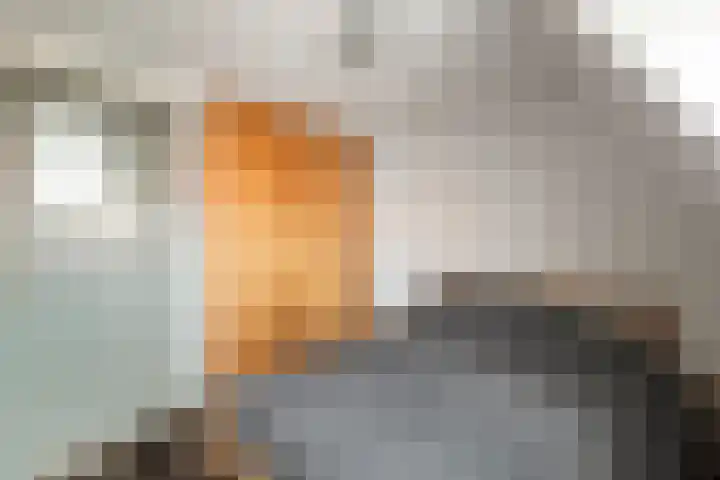 Koekoekstraat 4 Den Helder thumbnail 13