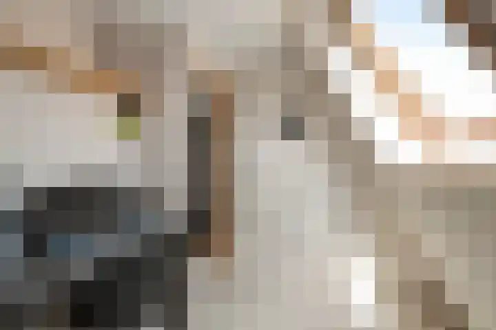 Koekoekstraat 4 Den Helder thumbnail 22
