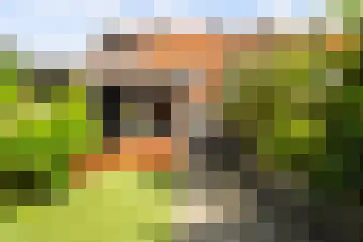 Koekoekstraat 4 Den Helder thumbnail 23