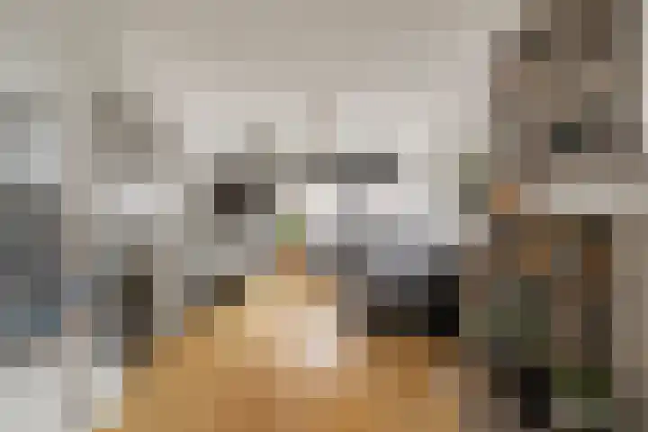 Koekoekstraat 4 Den Helder thumbnail 4