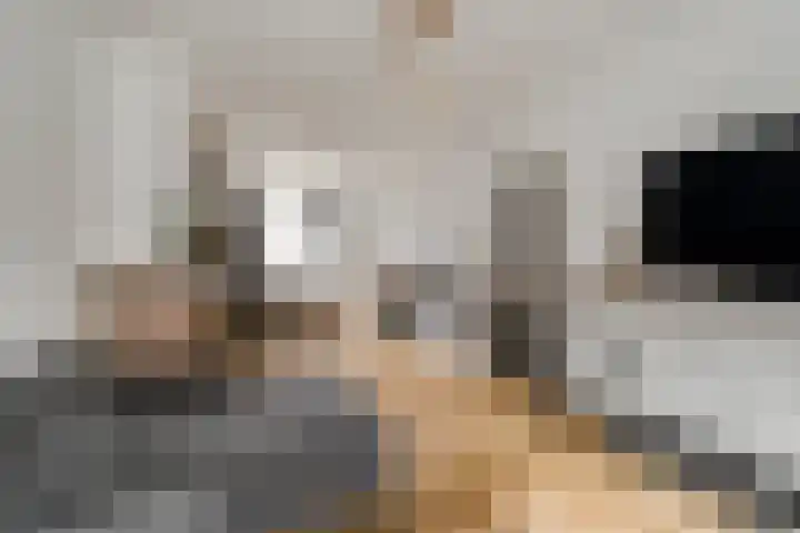 Koekoekstraat 4 Den Helder thumbnail 5