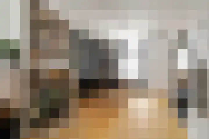 Koekoekstraat 4 Den Helder thumbnail 6