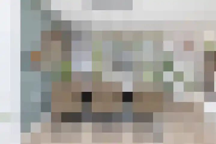 Koekoekstraat 4 Helmond thumbnail 14