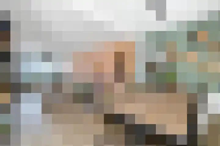 Koekoekstraat 4 Helmond thumbnail 16
