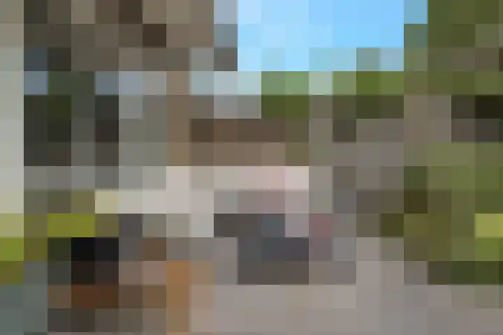 Koekoekstraat 4 Helmond thumbnail 39