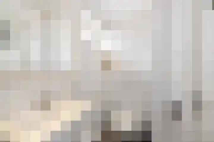 Koekoekstraat 4 Helmond thumbnail 4